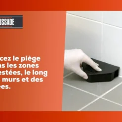 Carpt400 Raticide Canadien Forte Infestation Appât Prêt à L'emploi Nou -Promos Jardesia Magasin 01926f353c8d8b6d