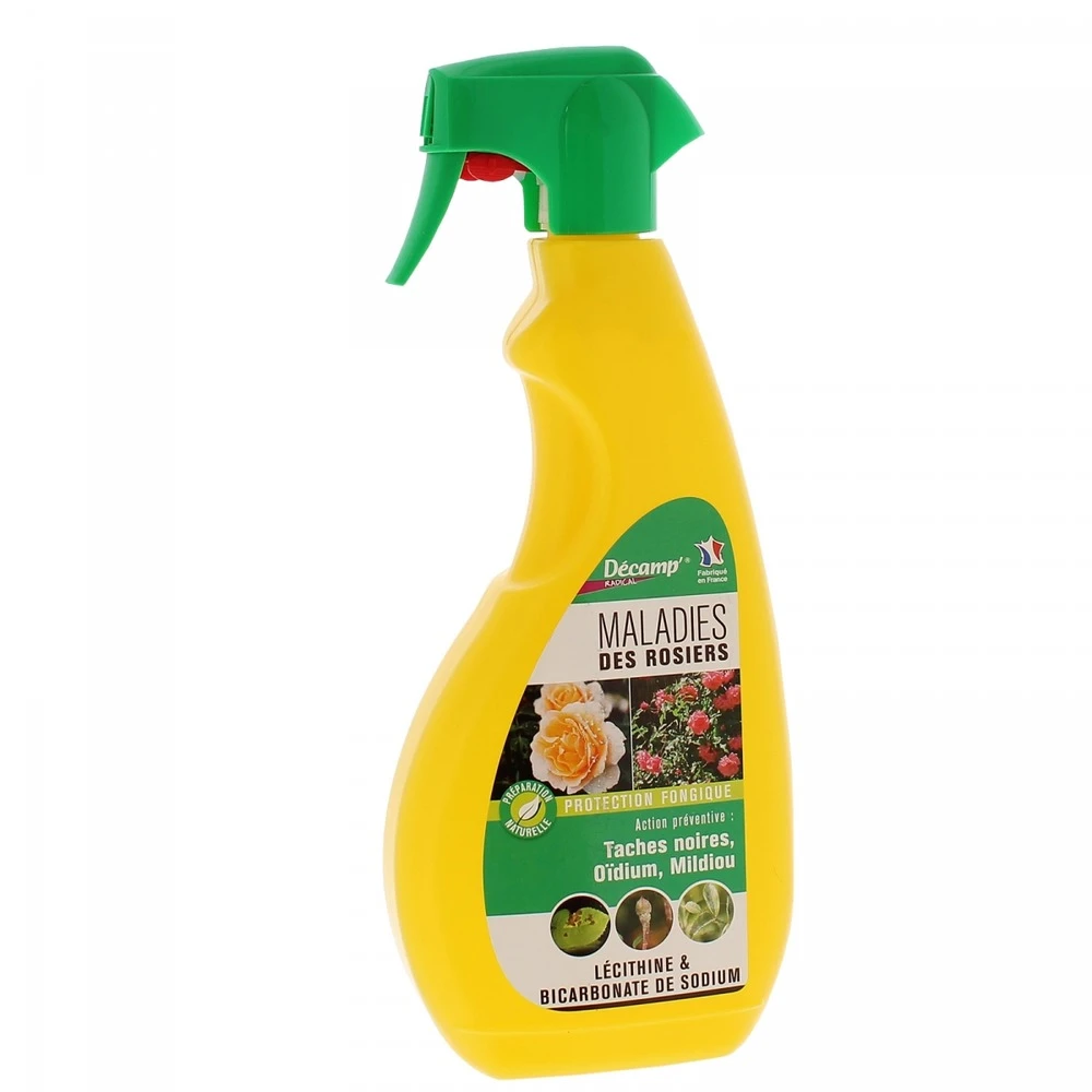 Traitement Maladies Des Rosiers Décamp Radical 1 Traitement Maladies Des Rosiers Décamp Radical