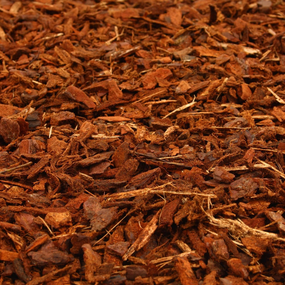 Paillage D'écorces De Pin Calibre 10/25 Mm - Sac De 60 Litres 3 Paillage D'écorces De Pin Calibre 10/25 Mm - Sac De 60 Litres – Image 3