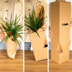 Tillandsia Et Son Support En Cube - H35cm, ø20cm - Plante D'intérieur Tombante 9 Tillandsia Et Son Support En Cube - H35cm, ø20cm - Plante D'intérieur Tombante -Promos Jardesia Magasin 1d4ca7b43168e807