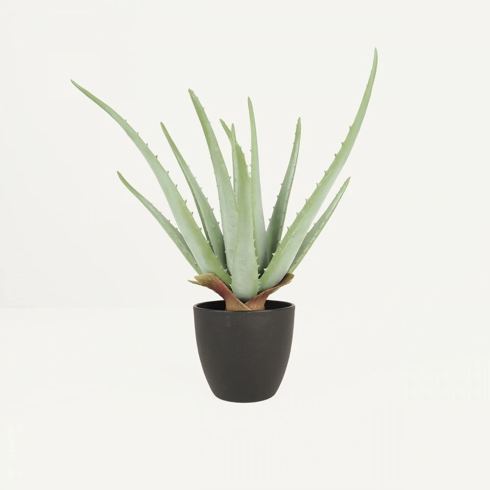Aloe Vera Artificiel 35cm 1 Aloe Vera Artificiel 35cm