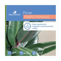 Caoutchouc : 3 Pieds Pot -Promos Jardesia Magasin 28705 001