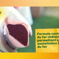 Solabiol Soseq01 | Sequestrene Antichlorose 100g | Action Longue Durée | Fabriq 7 Solabiol Soseq01 | Sequestrene Antichlorose 100g | Action Longue Durée | Fabriq -Promos Jardesia Magasin 34a89de4028d27b8