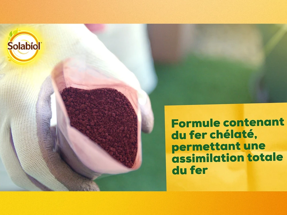 Solabiol Soseq01 | Sequestrene Antichlorose 100g | Action Longue Durée | Fabriq 3 Solabiol Soseq01 | Sequestrene Antichlorose 100g | Action Longue Durée | Fabriq – Image 3