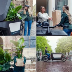 Hedera Lierra Tombant - H70cm, ø24cm - Plante D'intérieur Tombante 9 Hedera Lierra Tombant - H70cm, ø24cm - Plante D'intérieur Tombante -Promos Jardesia Magasin 364fae982ce3b9e4