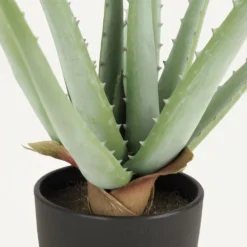 Aloe Vera Artificiel 35cm 7 Aloe Vera Artificiel 35cm -Promos Jardesia Magasin 3a5e870da98183ae