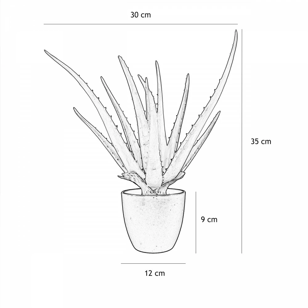 Aloe Vera Artificiel 35cm 4 Aloe Vera Artificiel 35cm – Image 4