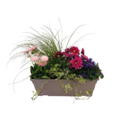 Jardinière De Bisannuelles Et Vivaces 40 Cm - Coloris Variables -Promos Jardesia Magasin 417571 004