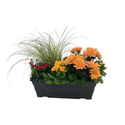 Jardinière De Bisannuelles Et Vivaces 40 Cm - Coloris Variables -Promos Jardesia Magasin 417571 007