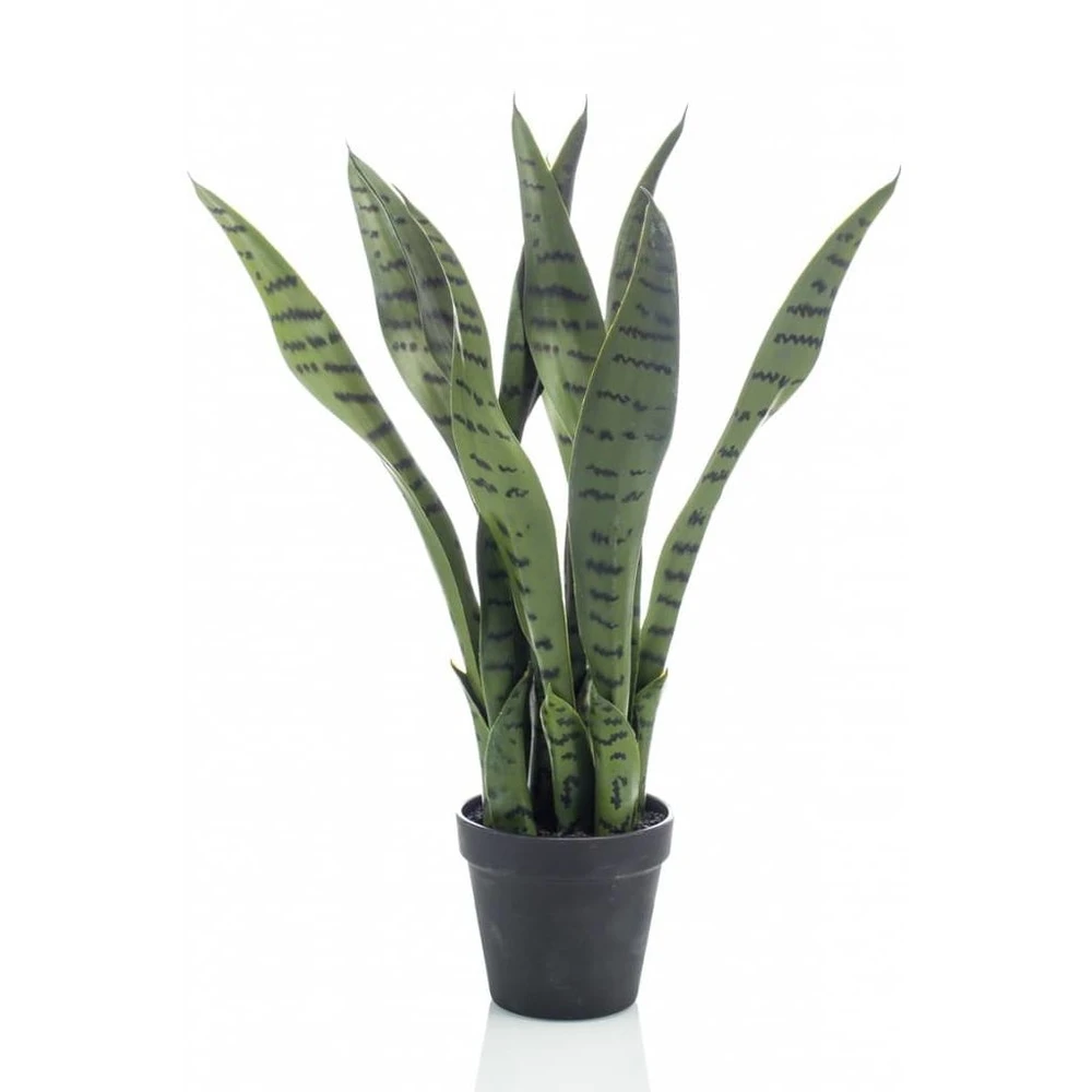 Emerald Plante Artificielle Sansevieria 55 Cm En Pot 1 Emerald Plante Artificielle Sansevieria 55 Cm En Pot