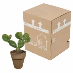 Opuntia Microdasys Et Son Cache-pot Marron - H40cm, ø17cm - Plante D'intérieur -Promos Jardesia Magasin 48d55715481eec9b
