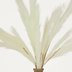 Plumeau Artificiel Crème 110cm Lot De 3 -Promos Jardesia Magasin 4cbd7840188bab6e