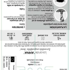 Lavandula Angustifolia Anna : C. 3L 5 Lavandula Angustifolia Anna : C. 3L -Promos Jardesia Magasin 510699 005