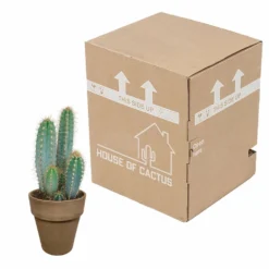 Pilosocereus Azureus Et Son Cache-pot Marron - H40cm, ø17cm - Plante D'intérieur -Promos Jardesia Magasin 5a33834f87ba2412