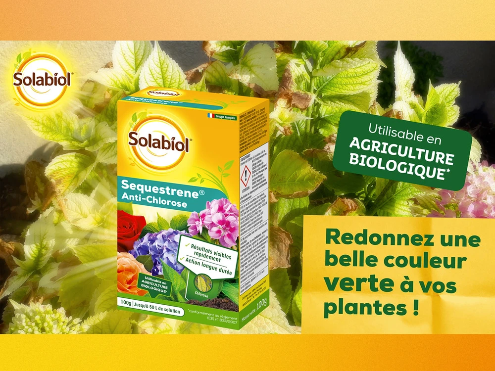 Solabiol Soseq01 | Sequestrene Antichlorose 100g | Action Longue Durée | Fabriq 4 Solabiol Soseq01 | Sequestrene Antichlorose 100g | Action Longue Durée | Fabriq – Image 4
