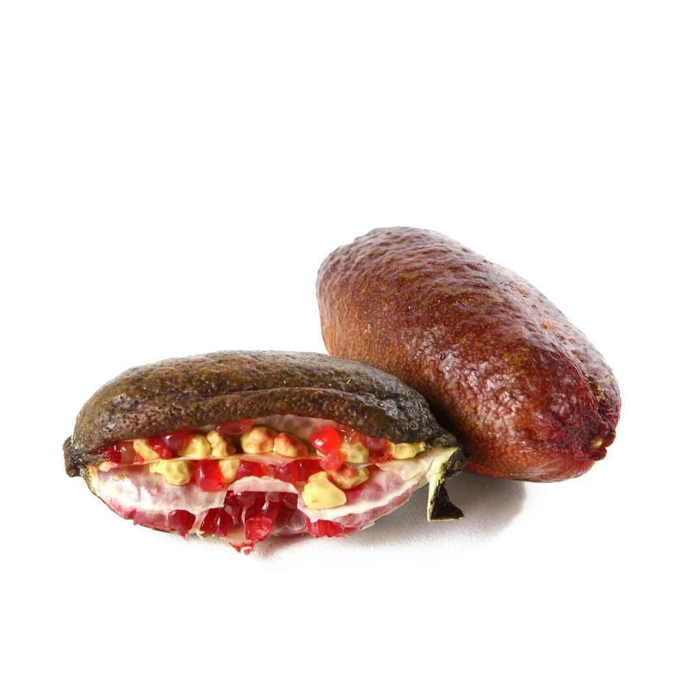 Citron Caviar : Fruits Rose C5L 3 Citron Caviar : Fruits Rose C5L – Image 3