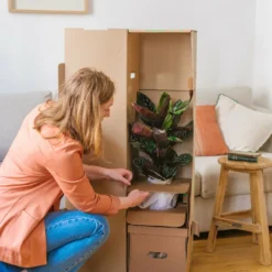 Plante D'intérieur - Fougère De Boston 30cm 5 Plante D'intérieur - Fougère De Boston 30cm -Promos Jardesia Magasin 6377dd92946f96.19527258