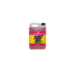 Tripart Bloom 10 Litres -Promos Jardesia Magasin 63806a196c9c79.87318494