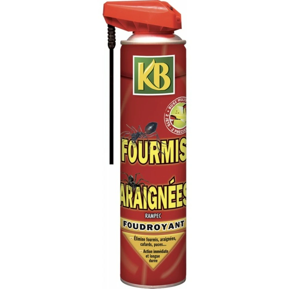 Anti Fourmis Araignees Aerosol - 400ml 1 Anti Fourmis Araignees Aerosol - 400ml