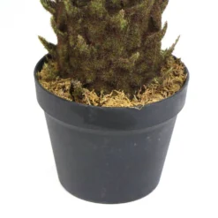 Plante Artificielle - Cycas Du Japon 80cm -Promos Jardesia Magasin 639b1df458c1f0.19989406