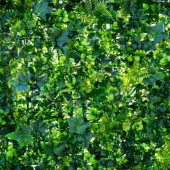 Mur Végétal Artificiel Extérieur Et Intérieur Prêt à Poser 1m X 1m Lierre -Promos Jardesia Magasin 63add93e4738f1.73564741