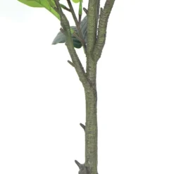 Plante Artificielle - Figuier 135cm 5 Plante Artificielle - Figuier 135cm -Promos Jardesia Magasin 63cbb442b97305.38121552