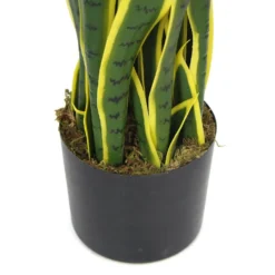 Plante Artificielle - Sanseviera Jaune 89cm 5 Plante Artificielle - Sanseviera Jaune 89cm -Promos Jardesia Magasin 63cbb449e3c2a8.85755282