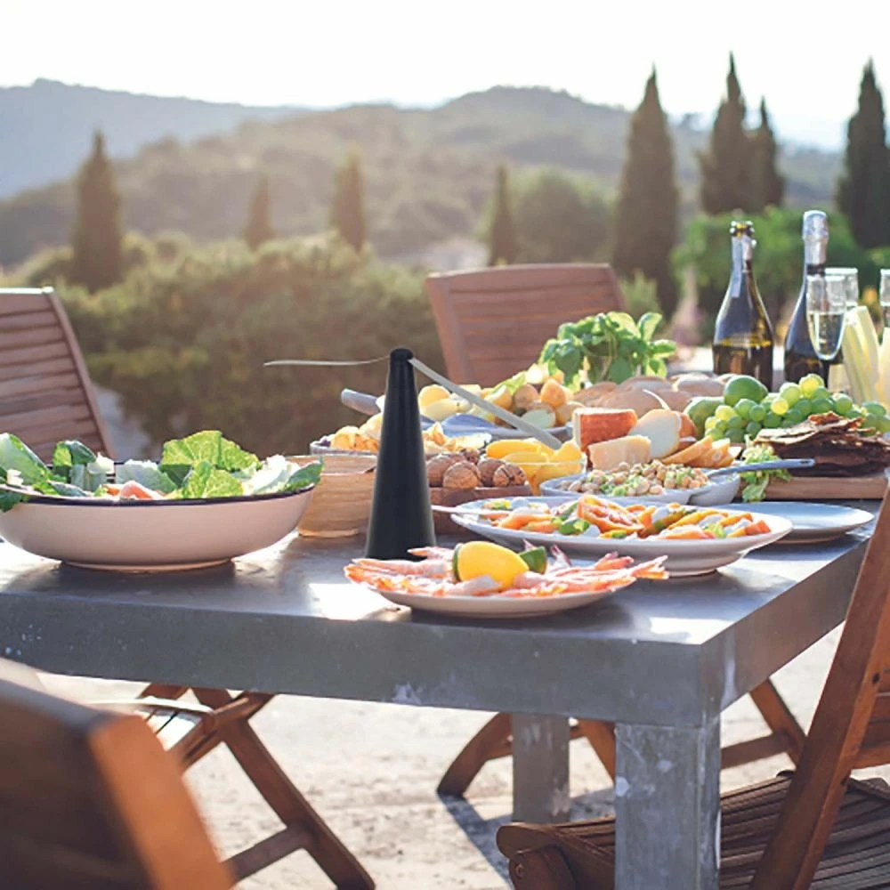 Anti Insectes à Poser Ou à Suspendre 2 Anti Insectes à Poser Ou à Suspendre – Image 2