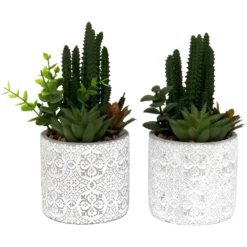 Plante Succulente Artificielle Pot En Ciment (lot De 2)
