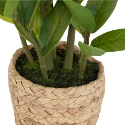 ATMOSPHERA Plante Artificielle Zamio En Pot H 41 Cm -Promos Jardesia Magasin 63eb35dbddde12.31611138
