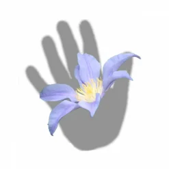 Clématite Integrifolia Blue River® 'zoblueriver'/pot De 3l - Echelle Bambou 60/120 Cm -Promos Jardesia Magasin 63f4cebbd865d8.12957379