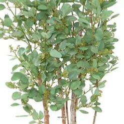 Joli Faux Eucalyptus En Pot H 160 Cm Feuillage Tissu Vert -Promos Jardesia Magasin 63f608085cafe7.15719631