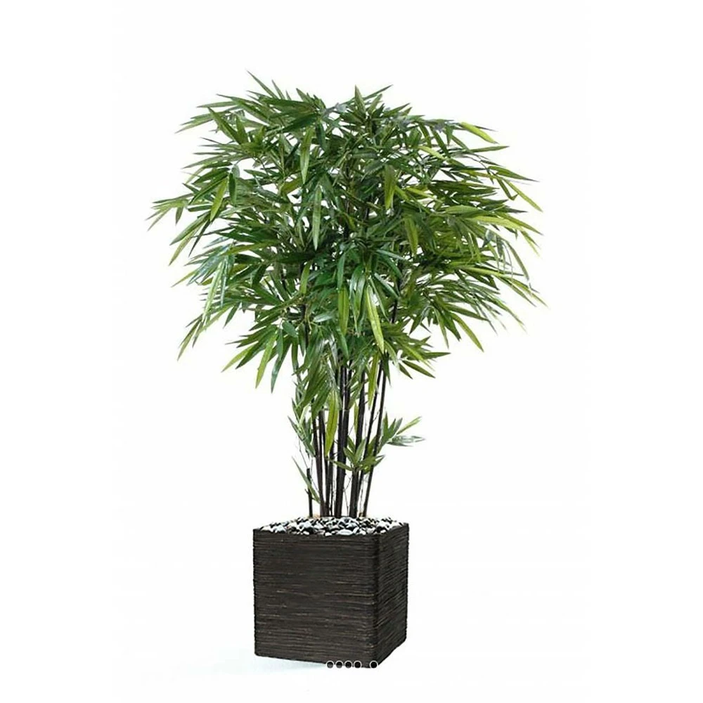 Bambou Artificiel à Cannes Noires Effet Zen H 270 Cm - Choisissez Votre Hauteur: 2 Bambou Artificiel à Cannes Noires Effet Zen H 270 Cm - Choisissez Votre Hauteur: – Image 2