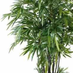 Bambou Artificiel à Cannes Noires Effet Zen H 270 Cm - Choisissez Votre Hauteur: 5 Bambou Artificiel à Cannes Noires Effet Zen H 270 Cm - Choisissez Votre Hauteur: -Promos Jardesia Magasin 63f6080a4cc649.27920023