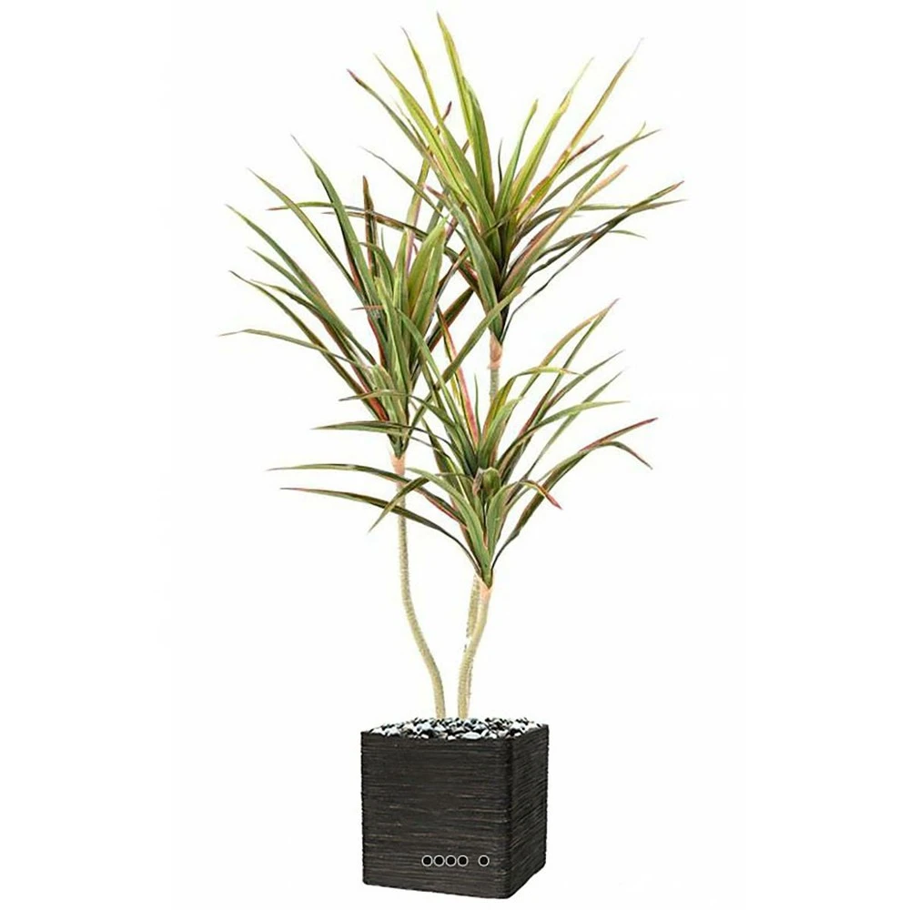 Dracaena Artificiel 3 Troncs En Pot H 190 Cm Vert-rose - Choisissez Votre Hauteu 2 Dracaena Artificiel 3 Troncs En Pot H 190 Cm Vert-rose - Choisissez Votre Hauteu – Image 2