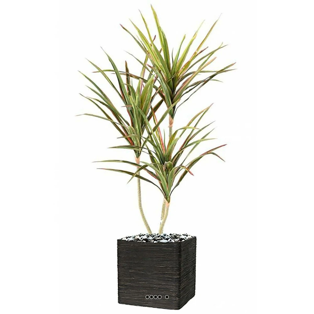 Dracaena Artificiel 3 Troncs En Pot H 140 Cm Vert-rose - Choisissez Votre Hauteu 2 Dracaena Artificiel 3 Troncs En Pot H 140 Cm Vert-rose - Choisissez Votre Hauteu – Image 2