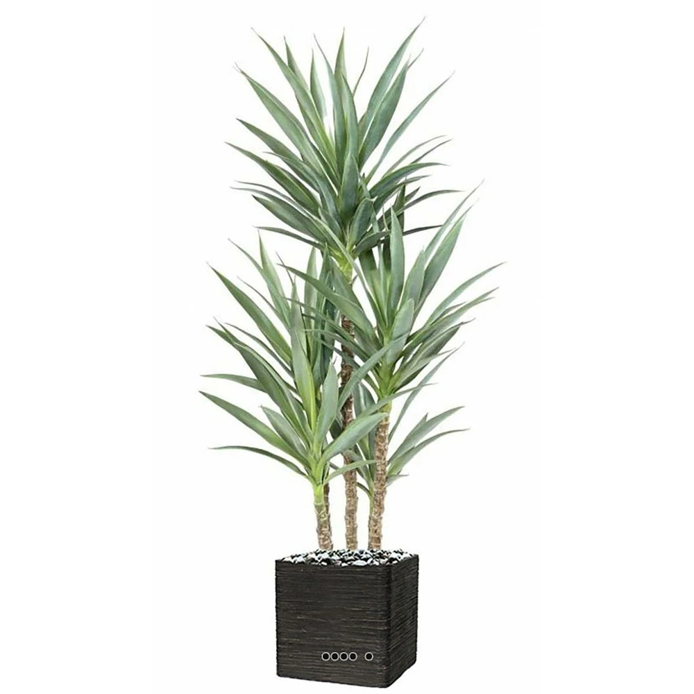 Yucca Artificiel Multitroncs En Pot H 150 Cm Feuillage Plastique 2 Yucca Artificiel Multitroncs En Pot H 150 Cm Feuillage Plastique – Image 2