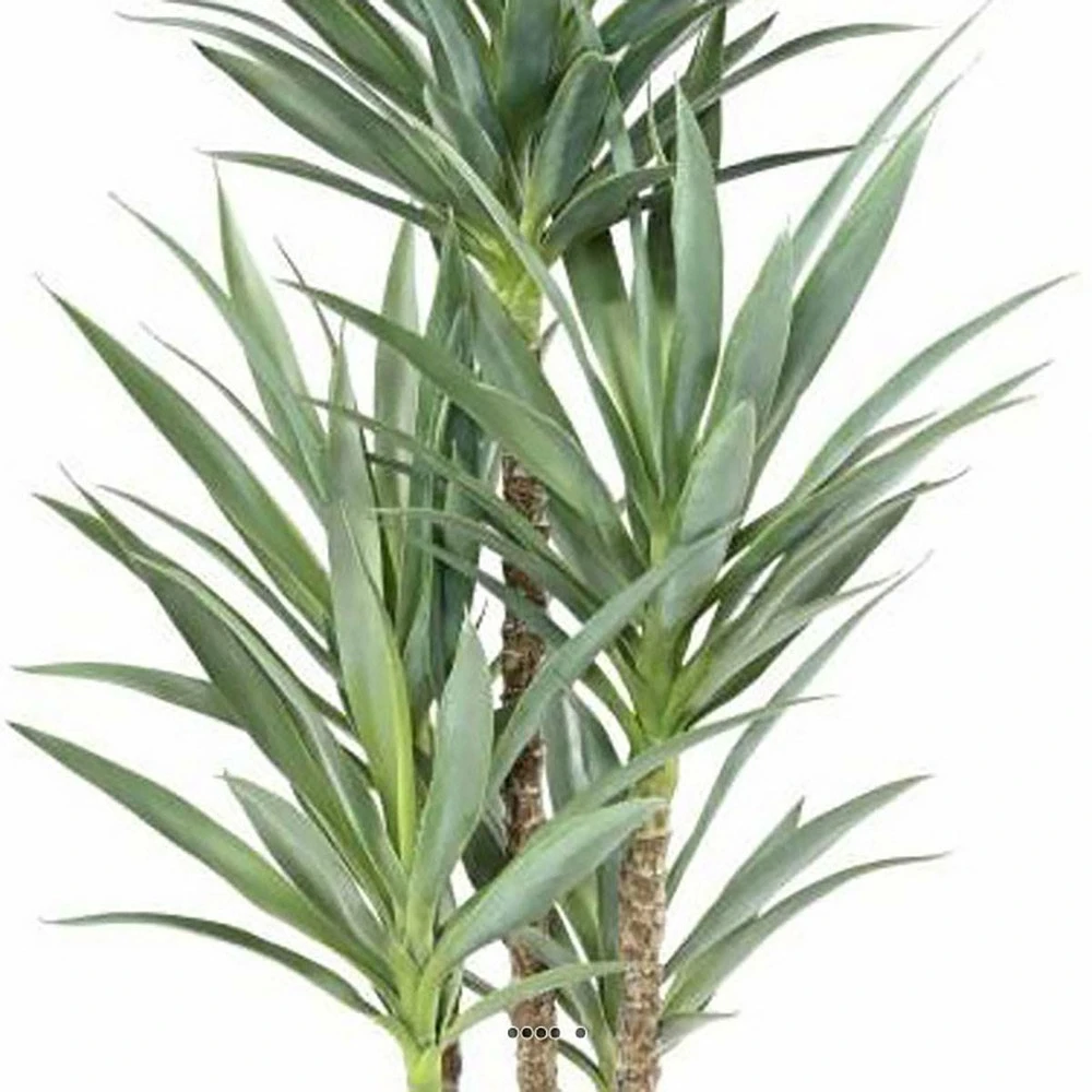 Yucca Artificiel Multitroncs En Pot H 150 Cm Feuillage Plastique 3 Yucca Artificiel Multitroncs En Pot H 150 Cm Feuillage Plastique – Image 3