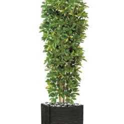 Schefflera Artificiel En Colonne En Pot H 195 Cm Vert-jaune -Promos Jardesia Magasin 63f608216a0e34.06117186