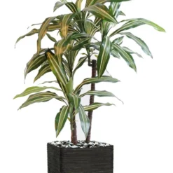 Dracaena Artificiel 3 Têtes H 90 Cm En Pot Vert-jaune 5 Dracaena Artificiel 3 Têtes H 90 Cm En Pot Vert-jaune -Promos Jardesia Magasin 63f6082779db42.86989259