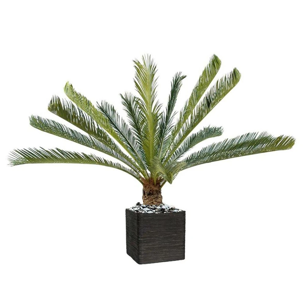 Palmier Cycas Artificiel En Pot H 200 Cm Vert - Choisissez Votre Hauteur: H 200 1 Palmier Cycas Artificiel En Pot H 200 Cm Vert - Choisissez Votre Hauteur: H 200