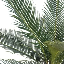 Palmier Cycas Artificiel En Pot H 50 Cm Vert - Choisissez Votre Hauteur: H 50 Cm 5 Palmier Cycas Artificiel En Pot H 50 Cm Vert - Choisissez Votre Hauteur: H 50 Cm -Promos Jardesia Magasin 63fa5142a15859.96036681