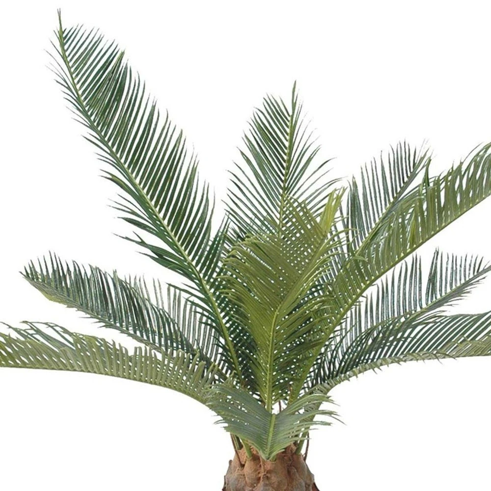 Palmier Cycas Artificiel En Pot H 50 Cm Vert - Choisissez Votre Hauteur: H 50 Cm 2 Palmier Cycas Artificiel En Pot H 50 Cm Vert - Choisissez Votre Hauteur: H 50 Cm – Image 2