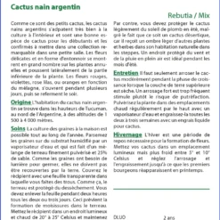 Kit De Culture - Cactus Nain Argentin - 40 Graines - Rebutia / Mix -Promos Jardesia Magasin 6406411347abb3.06145492