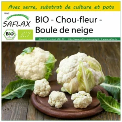 Kit De Culture - Bio - Chou-fleur - Boule De Neige - 70 Graines - Brassica Oleracea Var. Botrytis