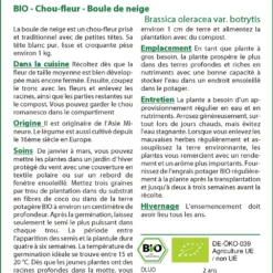 Kit De Culture - Bio - Chou-fleur - Boule De Neige - 70 Graines - Brassica Oleracea Var. Botrytis 9 Kit De Culture - Bio - Chou-fleur - Boule De Neige - 70 Graines - Brassica Oleracea Var. Botrytis -Promos Jardesia Magasin 6406413d407ee0.82661291