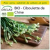 Kit De Culture - Bio - Ciboulette De Chine - 100 Graines - Allium Tuberosum