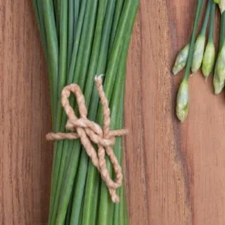 Kit De Culture - Bio - Ciboulette De Chine - 100 Graines - Allium Tuberosum 12 Kit De Culture - Bio - Ciboulette De Chine - 100 Graines - Allium Tuberosum -Promos Jardesia Magasin 6406414b24e430.90625062