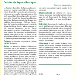Kit De Culture - Cerisier Du Japon - 30 Graines - Prunus Serrulata 9 Kit De Culture - Cerisier Du Japon - 30 Graines - Prunus Serrulata -Promos Jardesia Magasin 64064157603ec8.18852446