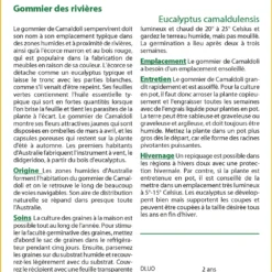Kit De Culture - Gommier Des Rivières - 200 Graines - Eucalyptus Camaldulensis 9 Kit De Culture - Gommier Des Rivières - 200 Graines - Eucalyptus Camaldulensis -Promos Jardesia Magasin 640641615bee86.32114836